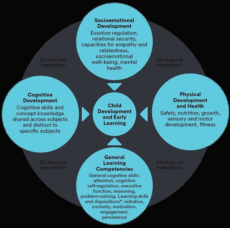 Child Development Domains