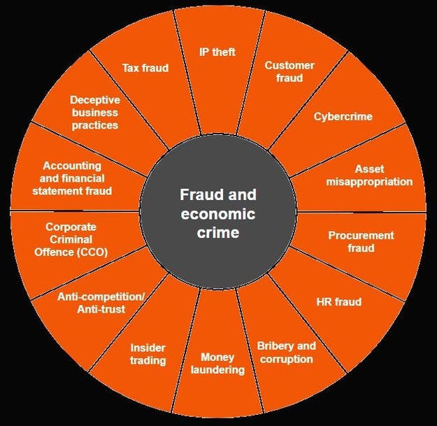 Corporate Fraud Risk Management