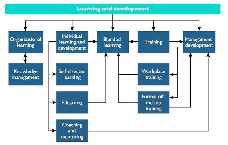 Learning Styles Representation Description