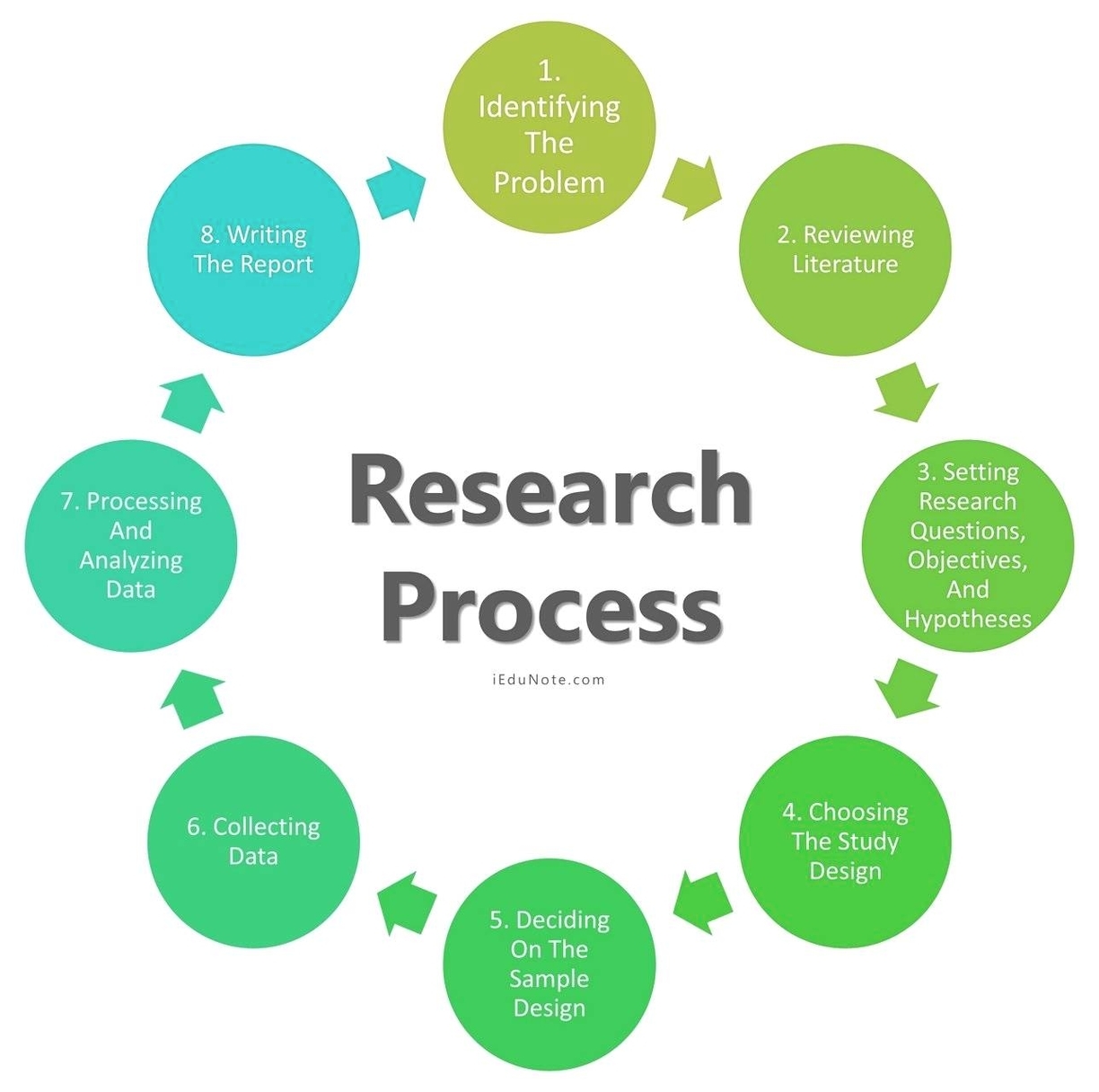Research Process Described in Detail